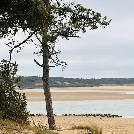 Apparemment Cosy Et Au Calme Vue Sur Le Golf * Talmont-Saint-Hilaire