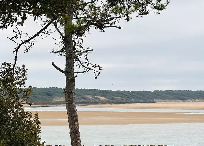 Apparemment Cosy Et Au Calme Vue Sur Le Golf * Talmont-Saint-Hilaire